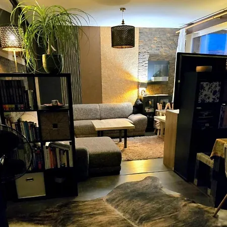 Spacious In The Center Of Apartment