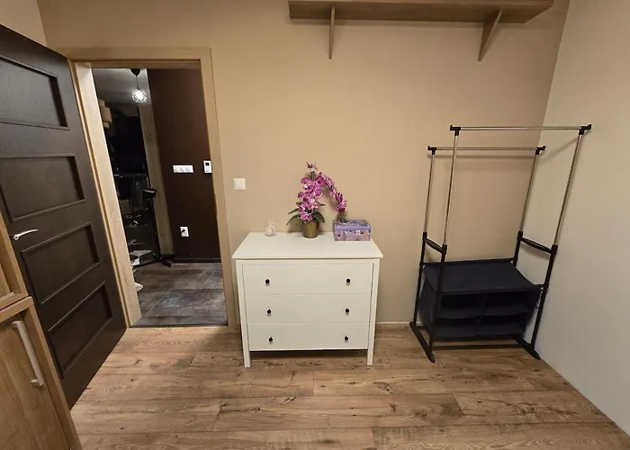 Spacious In The Center Of *